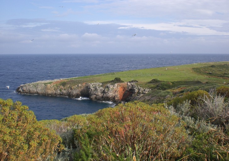 L’Isola di Giannutri e una giornata dedicata ai suoi fondali