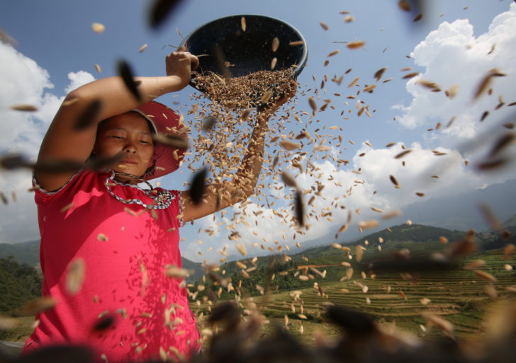 Siena International Photo Award 2016