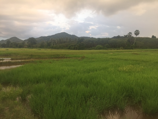 phuket-panorama