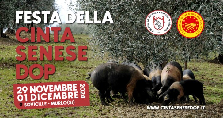 A Sovicille la Festa della Cinta Senese DOP: tre giorni di eccellenza toscana tra tradizione e innovazione