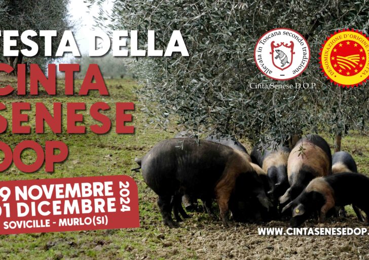 A Sovicille la Festa della Cinta Senese DOP: tre giorni di eccellenza toscana tra tradizione e innovazione